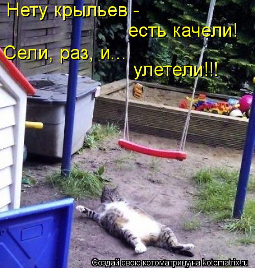 Нету крыльев - есть качели! Сели, раз, и... улетели!!!... Котоматрица: Нету крыльев - есть качели! Сели, раз, и... улетели!!!