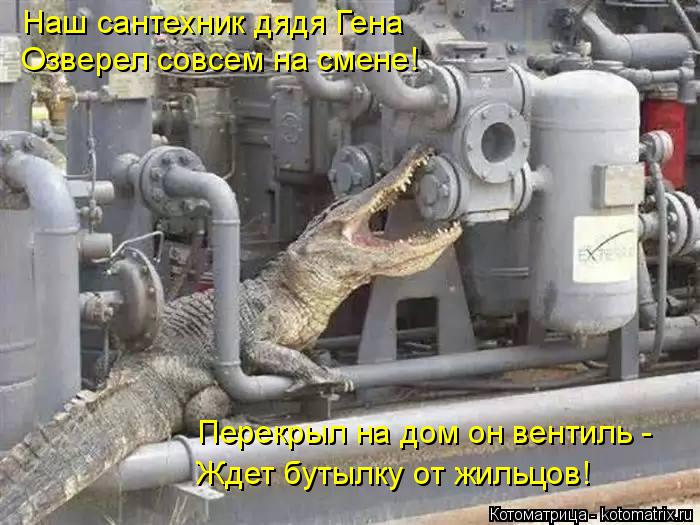Котоматрица: Наш сантехник дядя Гена Озверел совсем на смене! Перекрыл на дом он вентиль - Ждет бутылку от жильцов!