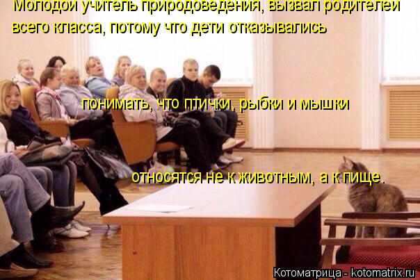 Котоматрица: относятся не к животным, а к пище. всего класса, потому что дети отказывались Молодой учитель природоведения, вызвал родителей понимать, чт