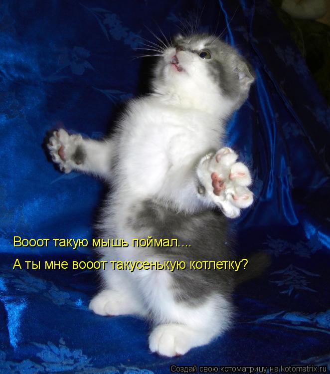 Котоматрица: Вооот такую мышь поймал.... А ты мне вооот такусенькую котлетку?