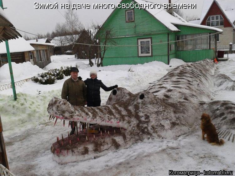 Котоматрица: Зимой на даче много свободного времени