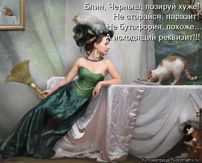 Котоматрица: Блин, Черныш, позируй хуже! Не старайся, паразит! Не бутафория, похоже... А исходящий реквизит!!!