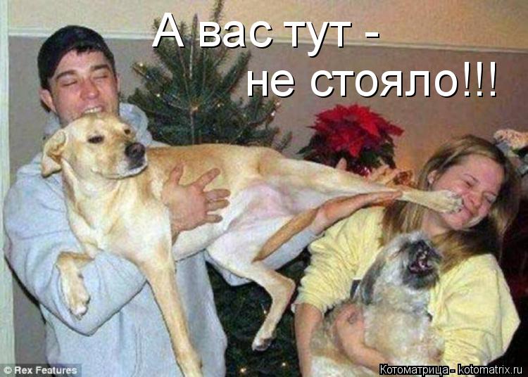 Котоматрица: А вас тут - не стояло!!!