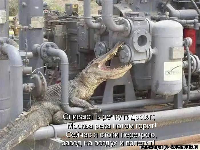 Котоматрица: Сливают в речку гидрозит,  Москва река потом горит! Сейчас я стоки перекрою, завод на воздух и взлетит!