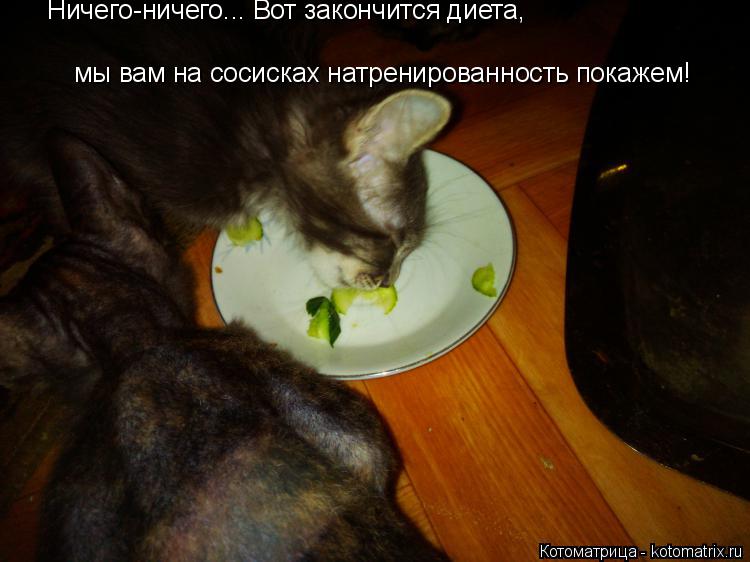 Котоматрица: мы вам на сосисках натренированность покажем! Ничего-ничего... Вот закончится диета,