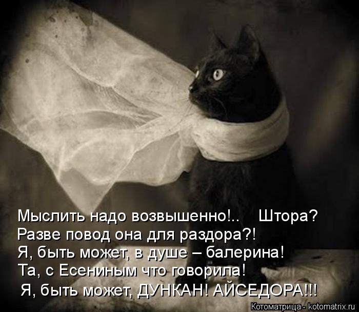 Котоматрица: Мыслить надо возвышенно!..    Штора? Разве повод она для раздора?! Я, быть может, в душе – балерина! Та, с Есениным что говорила! Я, быть может, ДУ