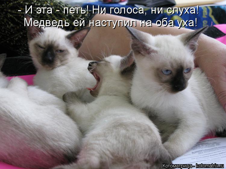 Котоматрица: - И эта - петь! Ни голоса, ни слуха! Медведь ей наступил на оба уха!
