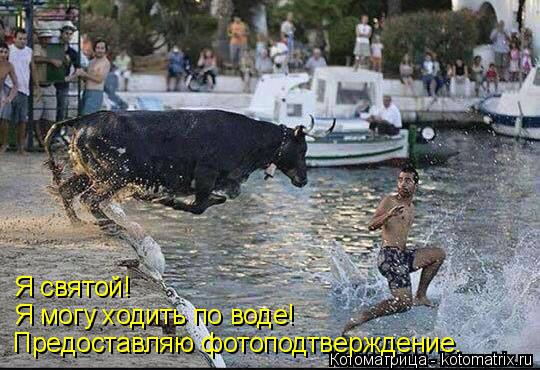 Котоматрица: Я святой! Я могу ходить по воде! Предоставляю фотоподтверждение.