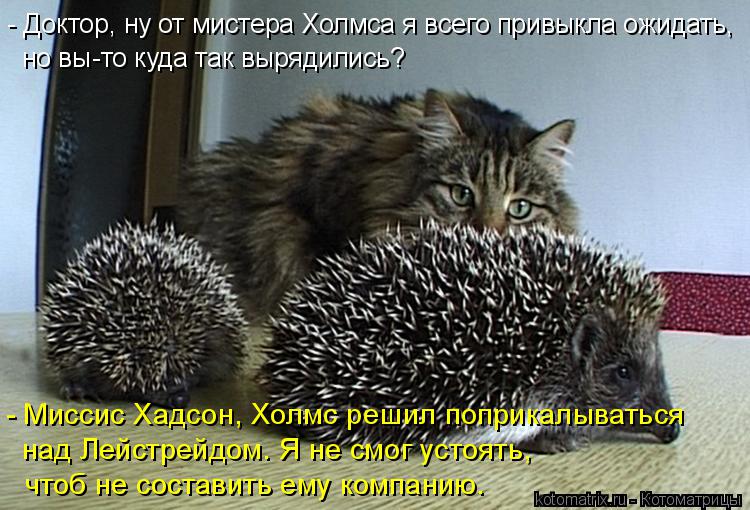 Котоматрица: - Доктор, ну от мистера Холмса я всего привыкла ожидать, но вы-то куда так вырядились? - Миссис Хадсон, Холмс решил поприкалываться над Лейстр