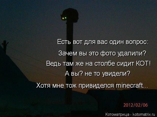 Котоматрица: Есть вот для вас один вопрос: Зачем вы это фото удалили? Ведь там же на столбе сидит КОТ! А вы? не то увидели? Хотя мне тож привиделся minecraft...