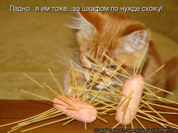 Котоматрица: Ладно...я им тоже...за шкафом по нужде схожу!