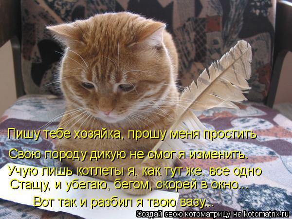 Котоматрица: Пишу тебе хозяйка, прошу меня простить Свою породу дикую не смог я изменить. Учую лишь котлеты я, как тут же, все одно Стащу, и убегаю, бегом, с