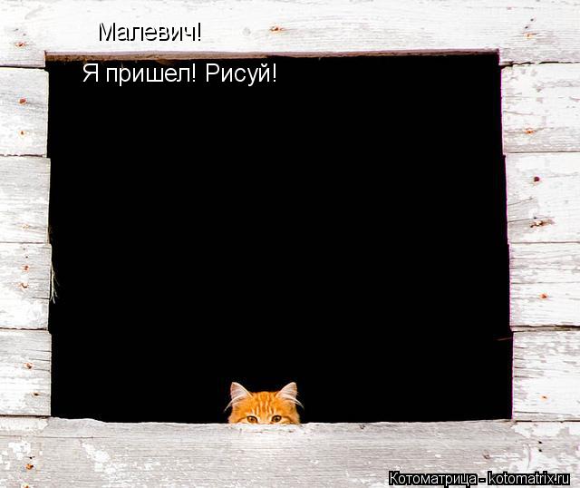 Котоматрица: Малевич! Я пришел! Рисуй!