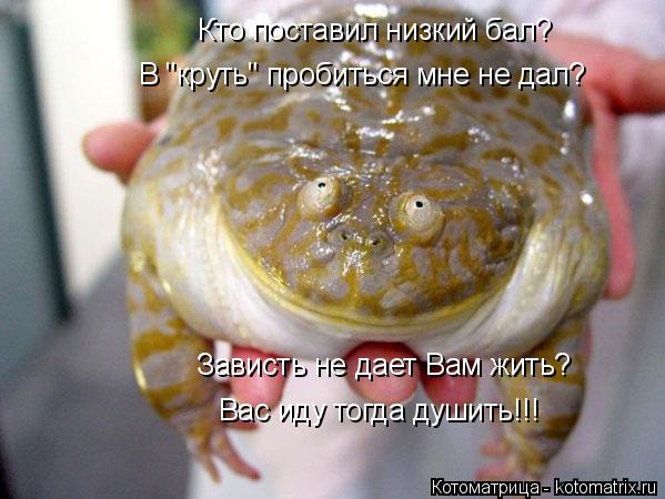 Котоматрица: Зависть не дает Вам жить? Кто поставил низкий бал? В "круть" пробиться мне не дал? Вас иду тогда душить!!!