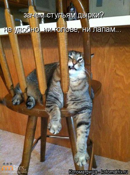Котоматрица: зачем стульям дырки? не удобно, ни голове, ни лапам...
