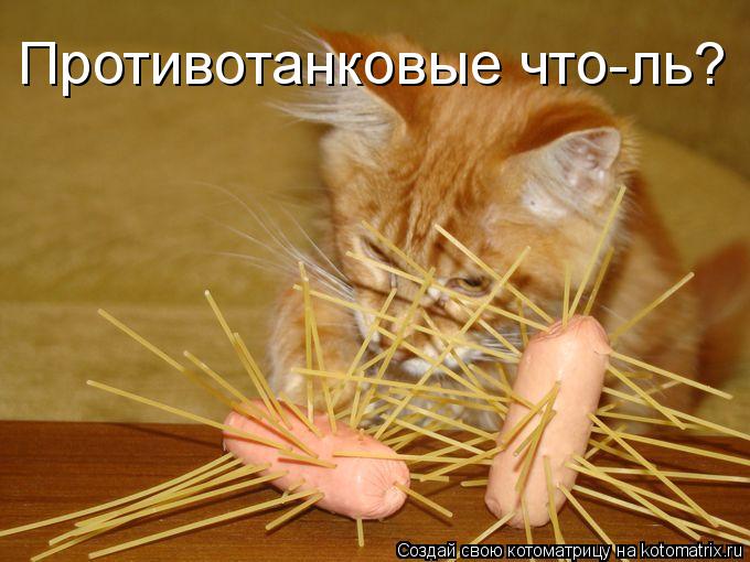 Котоматрица: Противотанковые что-ль?