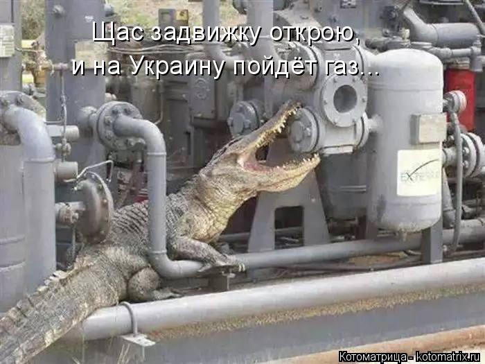 Котоматрица: Щас задвижку открою, и на Украину пойдёт газ...