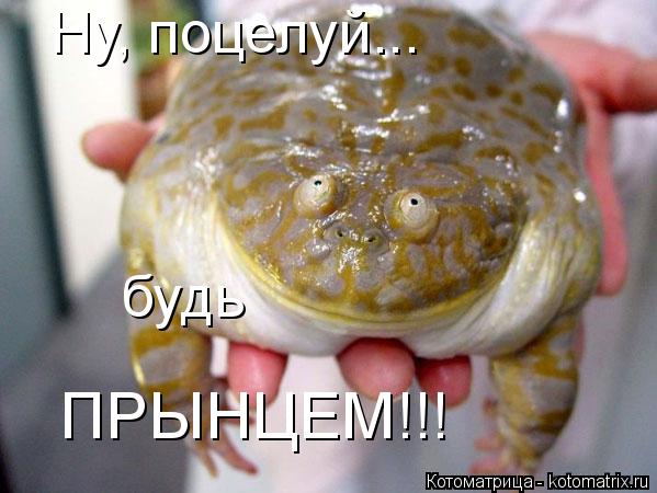 Котоматрица: будь Ну, поцелуй... ПРЫНЦЕМ!!!