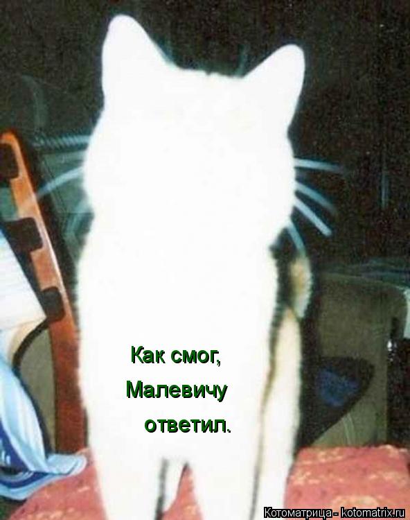 Котоматрица: Как смог,  Малевичу  ответил.