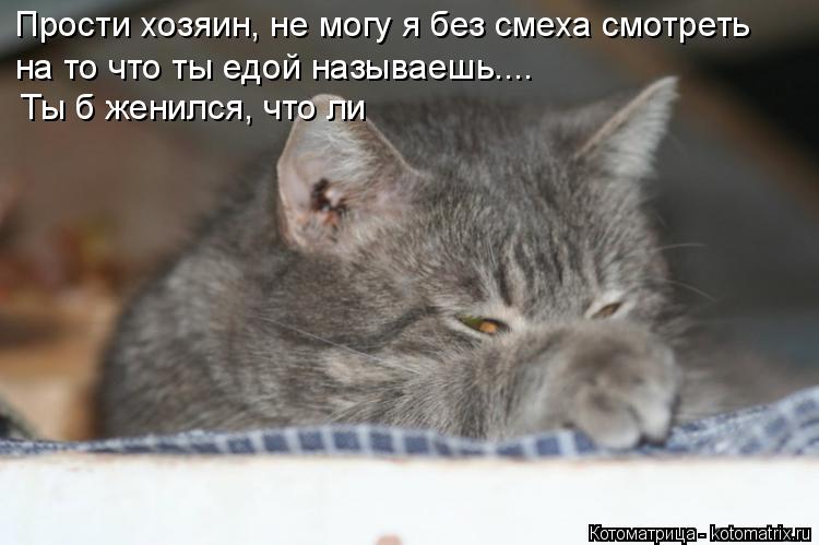 Котоматрица: Прости хозяин, не могу я без смеха смотреть на то что ты едой называешь.... Ты б женился, что ли