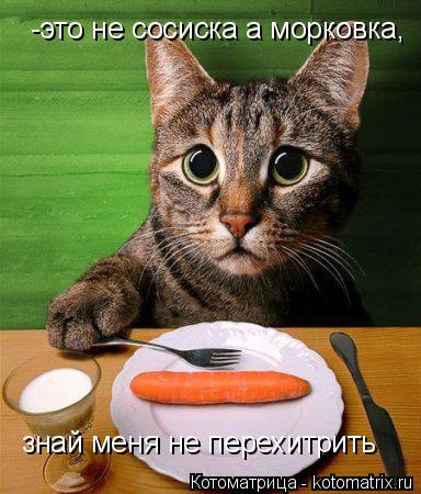 Котоматрица: -это не сосиска а морковка, знай меня не перехитрить