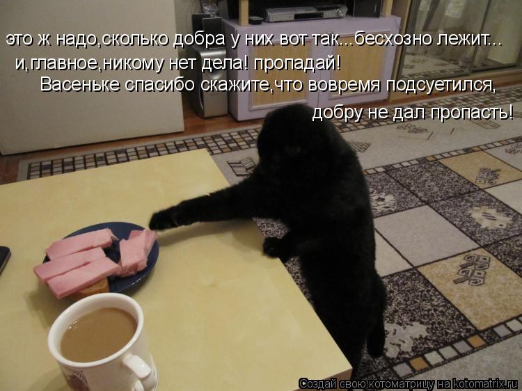 Котоматрица: это ж надо,сколько добра у них вот так...бесхозно лежит... и,главное,никому нет дела! пропадай! Васеньке спасибо скажите,что вовремя подсуетил