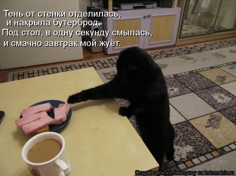 Котоматрица: и смачно завтрак мой жуёт. Под стол, в одну секунду смылась,  и накрыла бутерброд. Тень от стенки отделилась,
