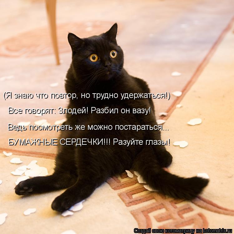 Котоматрица: (Я знаю что повтор, но трудно удержаться!) Все говорят: Злодей! Разбил он вазу! Ведь посмотреть же можно постараться... БУМАЖНЫЕ СЕРДЕЧКИ!!! Раз