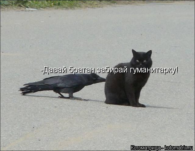 -Давай братан,забирай гуманитарку!... Котоматрица: -Давай братан,забирай гуманитарку!