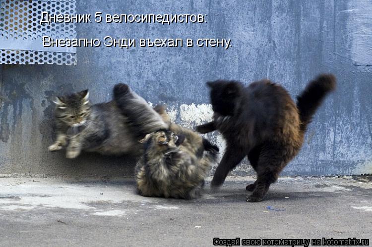 Дневник 5 велосипедистов: Внезапно Энди въехал в стену.... Котоматрица: Дневник 5 велосипедистов: Внезапно Энди въехал в стену.