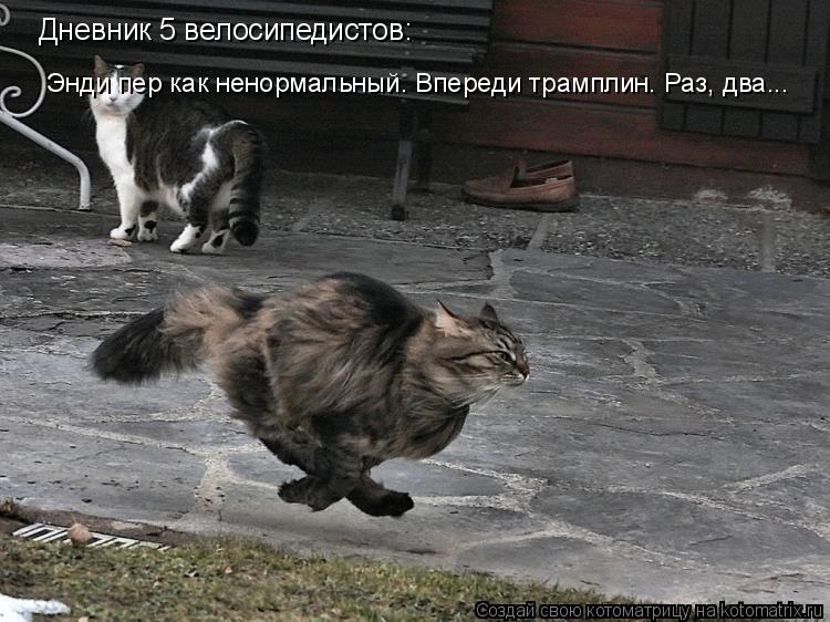 Дневник 5 велосипедистов: Энди пер как ненормальный. Впереди трамплин. Раз, два...... Котоматрица: Дневник 5 велосипедистов: Энди пер как ненормальный. Впереди трамплин. Раз, два...