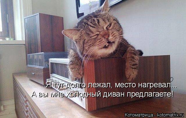 Котоматрица: Я тут долго лежал, место нагревал... А вы мне холодный диван предлагаете!