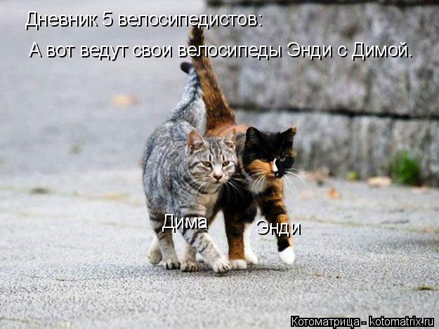 Дневник 5 велосипедистов: А вот ведут свои велосипеды Энди с Димой. Дима Энди... Котоматрица: Дневник 5 велосипедистов: А вот ведут свои велосипеды Энди с Димой. Дима Энди