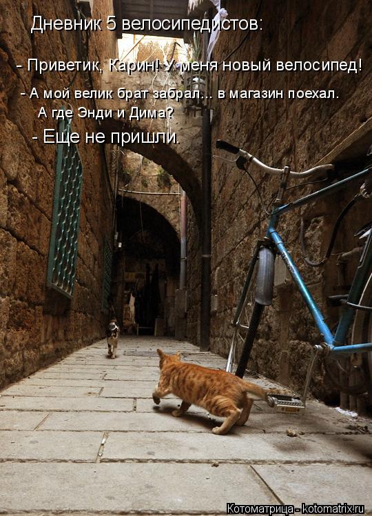 Дневник 5 велосипедистов: - Приветик, Карин! У меня новый велосипед! - А мой велик брат забрал... в ... Котоматрица: Дневник 5 велосипедистов: - Приветик, Карин! У меня новый велосипед! - А мой велик брат забрал... в магазин поехал. А где Энди и Дима? - Еще не пр