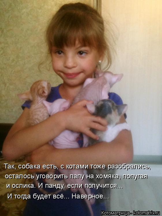 Котоматрица: Так, собака есть, с котами тоже разобрались, осталось уговорить папу на хомяка, попугая и ослика. И панду, если получится... И тогда будет всё..