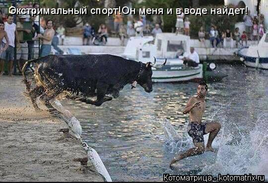 Котоматрица: Экстримальный спорт!Он меня и в воде найдет!