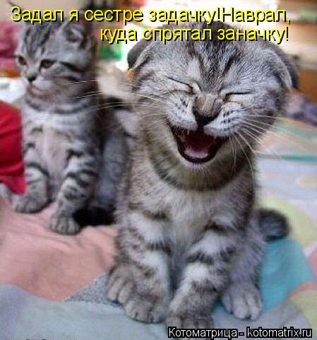 Котоматрица: Задал я сестре задачку!Наврал, куда спрятал заначку!