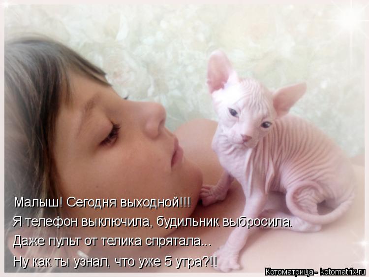 Котоматрица: Малыш! Сегодня выходной!!! Я телефон выключила, будильник выбросила. Даже пульт от телика спрятала... Ну как ты узнал, что уже 5 утра?!!