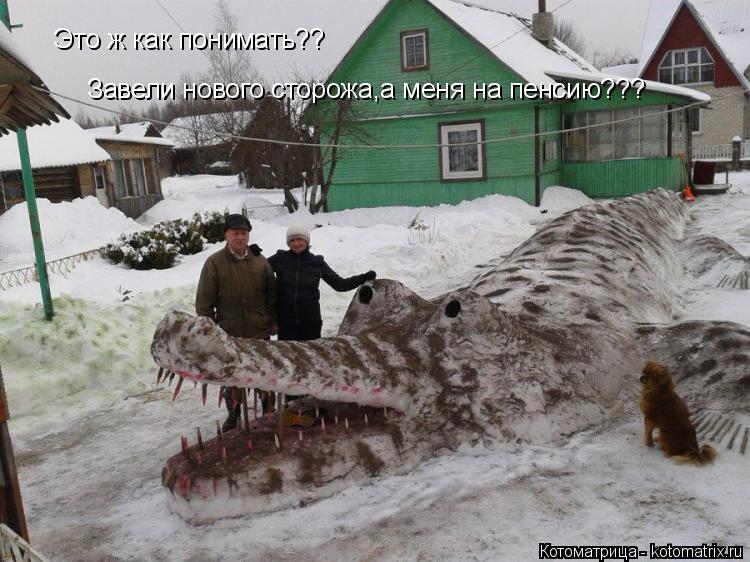 Котоматрица: Это ж как понимать?? Завели нового сторожа,а меня на пенсию???