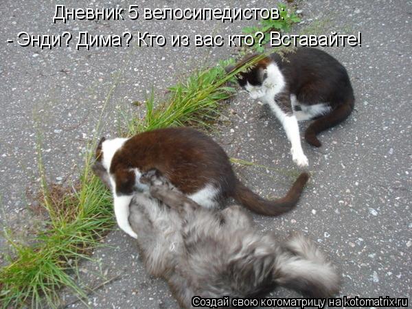 Котоматрица: Дневник 5 велосипедистов: - Энди? Дима? Кто из вас кто? Вставайте!