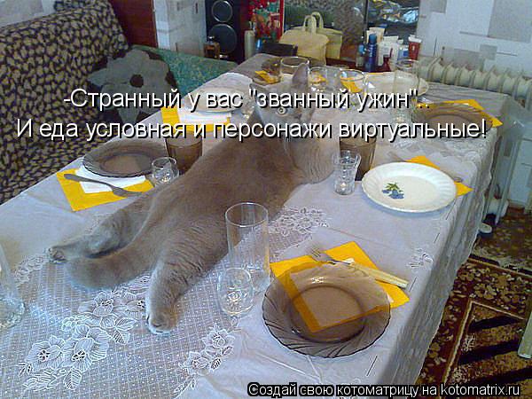 -Странный у вас "званный ужин".. И еда условная и персонажи виртуальные!... Котоматрица: -Странный у вас "званный ужин".. И еда условная и персонажи виртуальные!