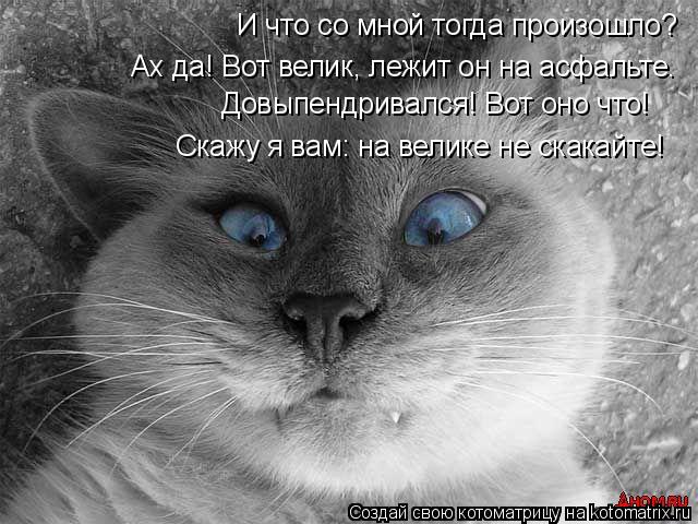 И что со мной тогда произошло? Ах да! Вот велик, лежит он на асфальте. Довыпендривался! Вот оно что! ... Котоматрица: И что со мной тогда произошло? Ах да! Вот велик, лежит он на асфальте. Довыпендривался! Вот оно что! Скажу я вам: на велике не скакайте!