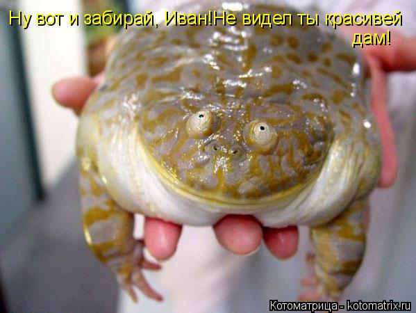 Котоматрица: Ну вот и забирай, Иван!Не видел ты красивей дам!