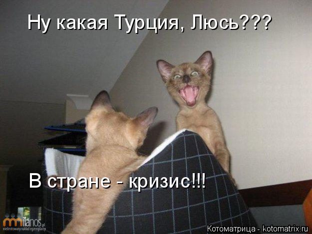 Ну какая Турция, Люсь??? В стране - кризис!!!... Котоматрица: Ну какая Турция, Люсь??? В стране - кризис!!!