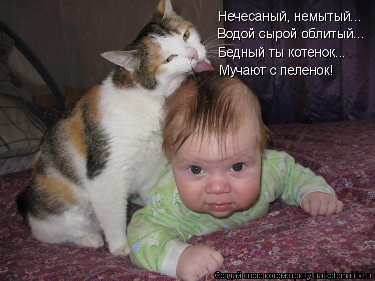 Котоматрица: Нечесаный, немытый... Водой сырой облитый... Бедный ты котенок... Мучают с пеленок!