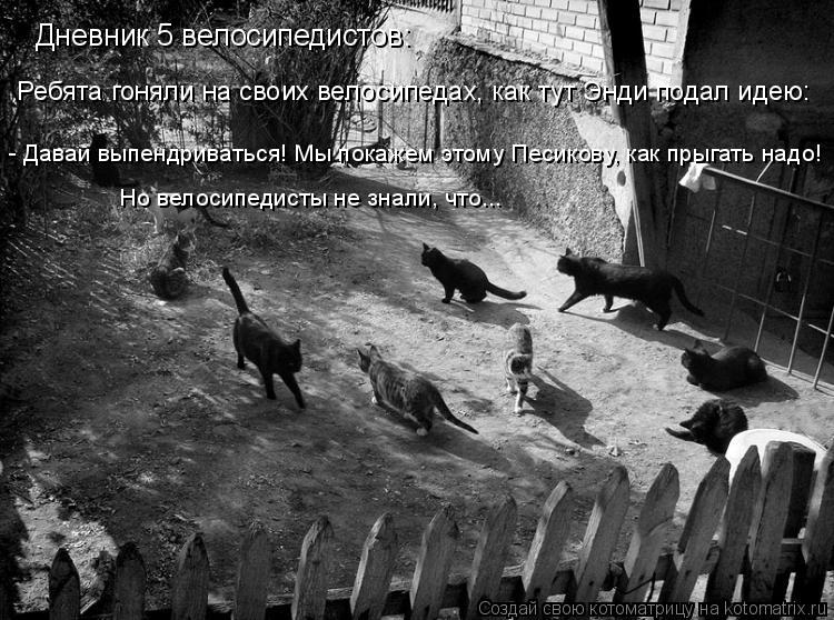 Дневник 5 велосипедистов: Ребята гоняли на своих велосипедах, как тут Энди подал идею: - Давай выпенд... Котоматрица: Дневник 5 велосипедистов: Ребята гоняли на своих велосипедах, как тут Энди подал идею: - Давай выпендриваться! Мы покажем этому Песикову, как