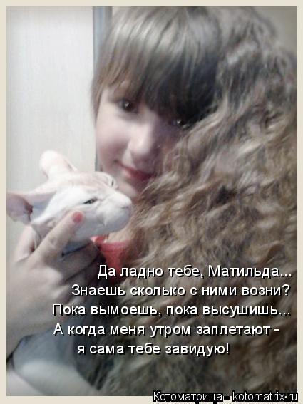 Котоматрица: Да ладно тебе, Матильда...  Знаешь сколько с ними возни? Пока вымоешь, пока высушишь... А когда меня утром заплетают - я сама тебе завидую!