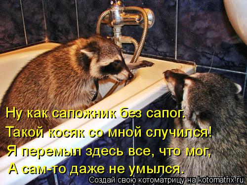 Котоматрица: Ну как сапожник без сапог. Такой косяк со мной случился! Я перемыл здесь все, что мог, А сам-то даже не умылся.