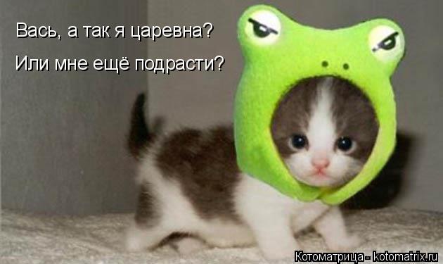 Котоматрица: Вась, а так я царевна? Или мне ещё подрасти?