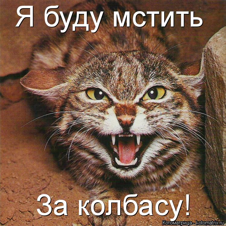 Котоматрица: Я буду мстить За колбасу!